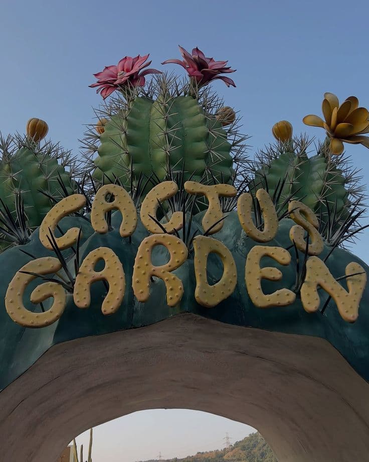 Cactus & Butterfly Garden