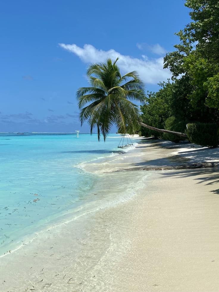 Marari Beach