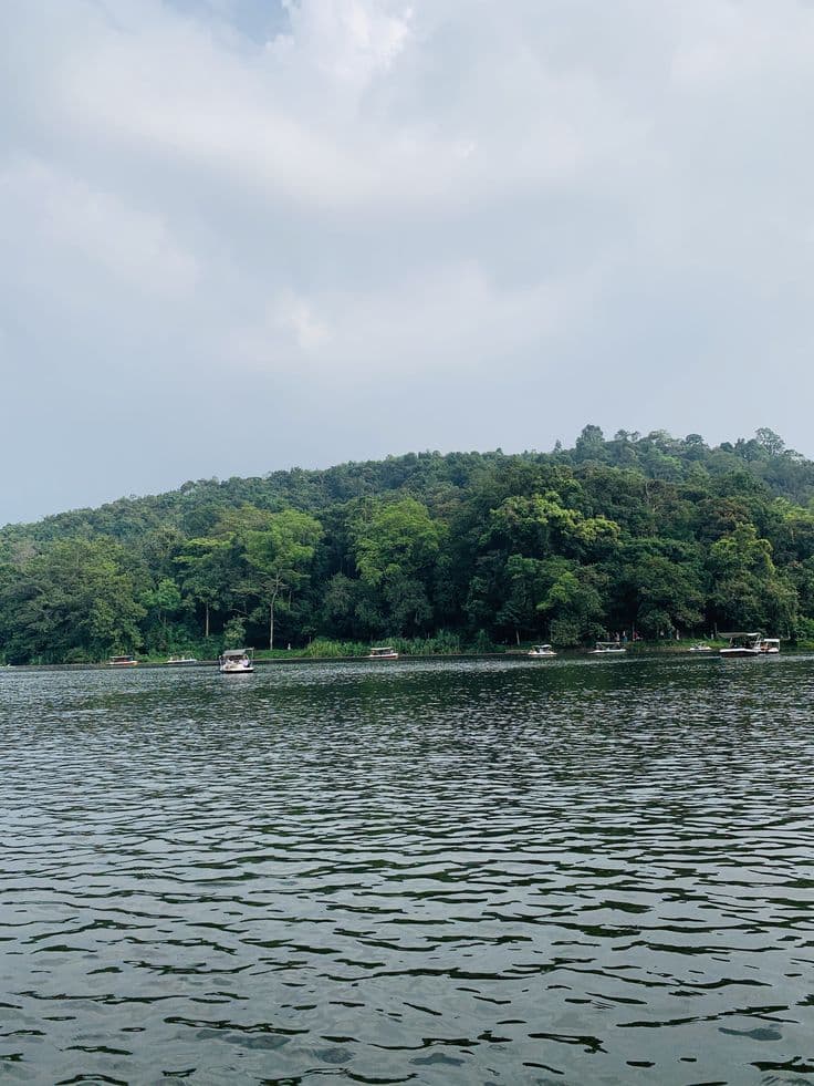 Pookode Lake