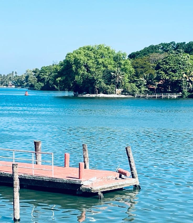 Ashtamudi Lake