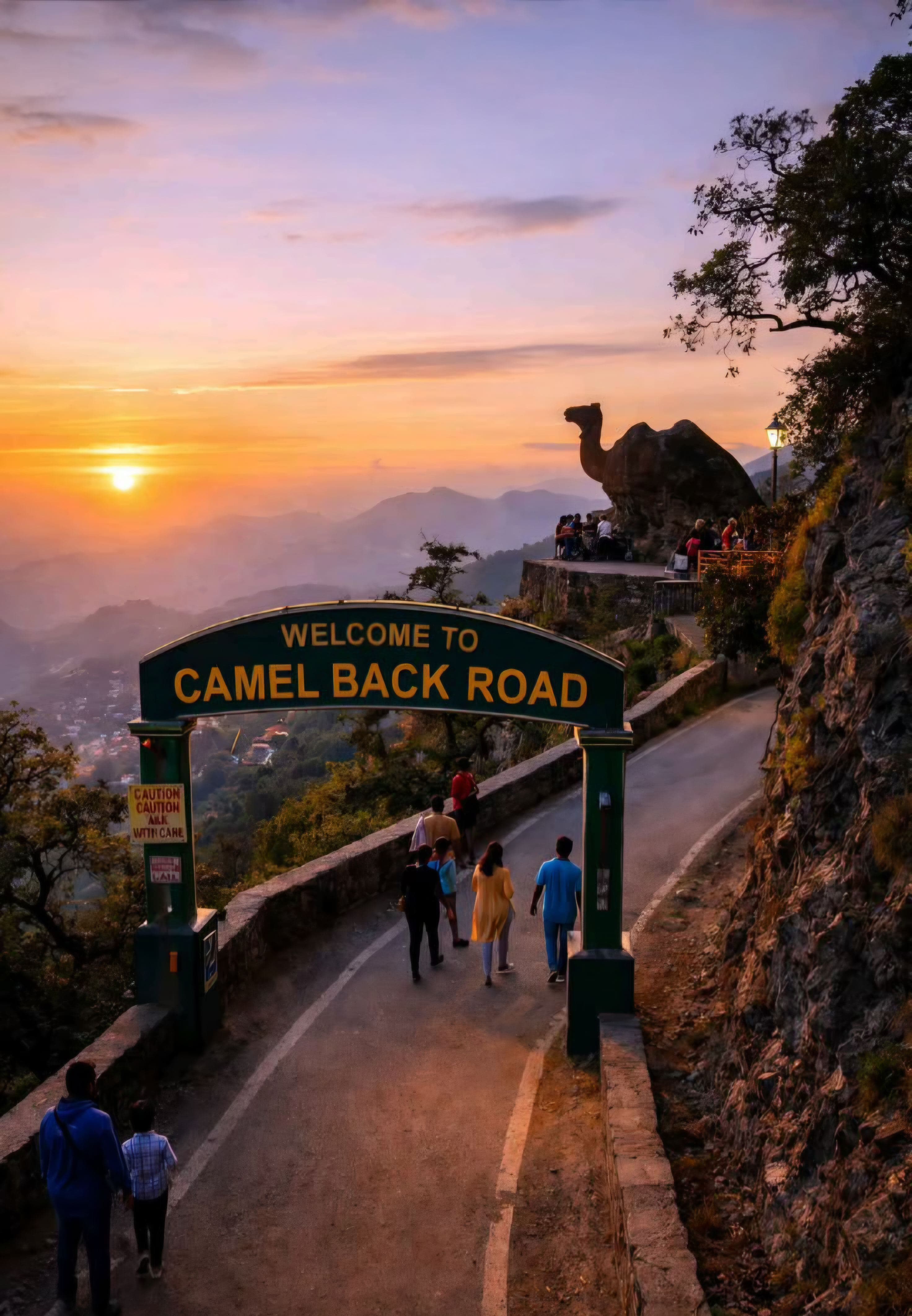 Camel's Back Road
