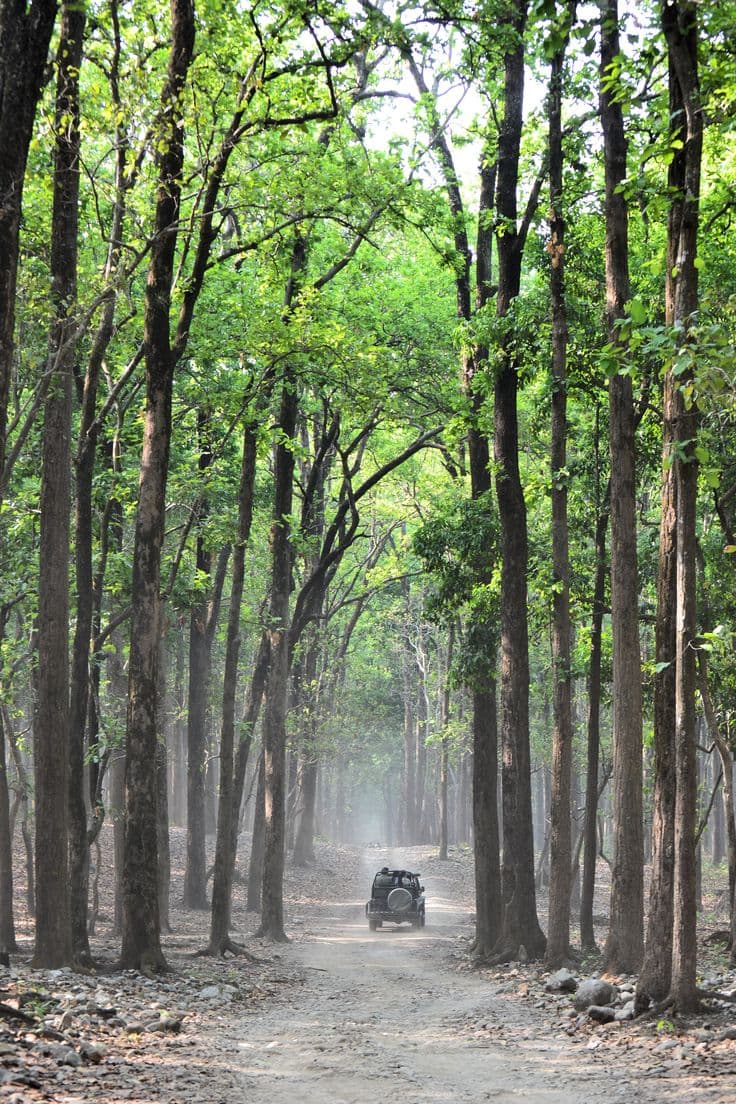 Jim Corbett National Park