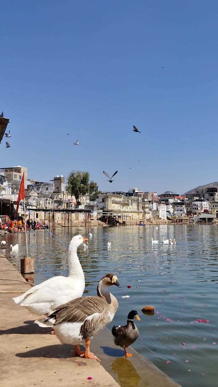 Pushkar Lake