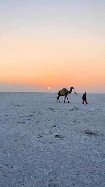 The Grand Kutch Experience