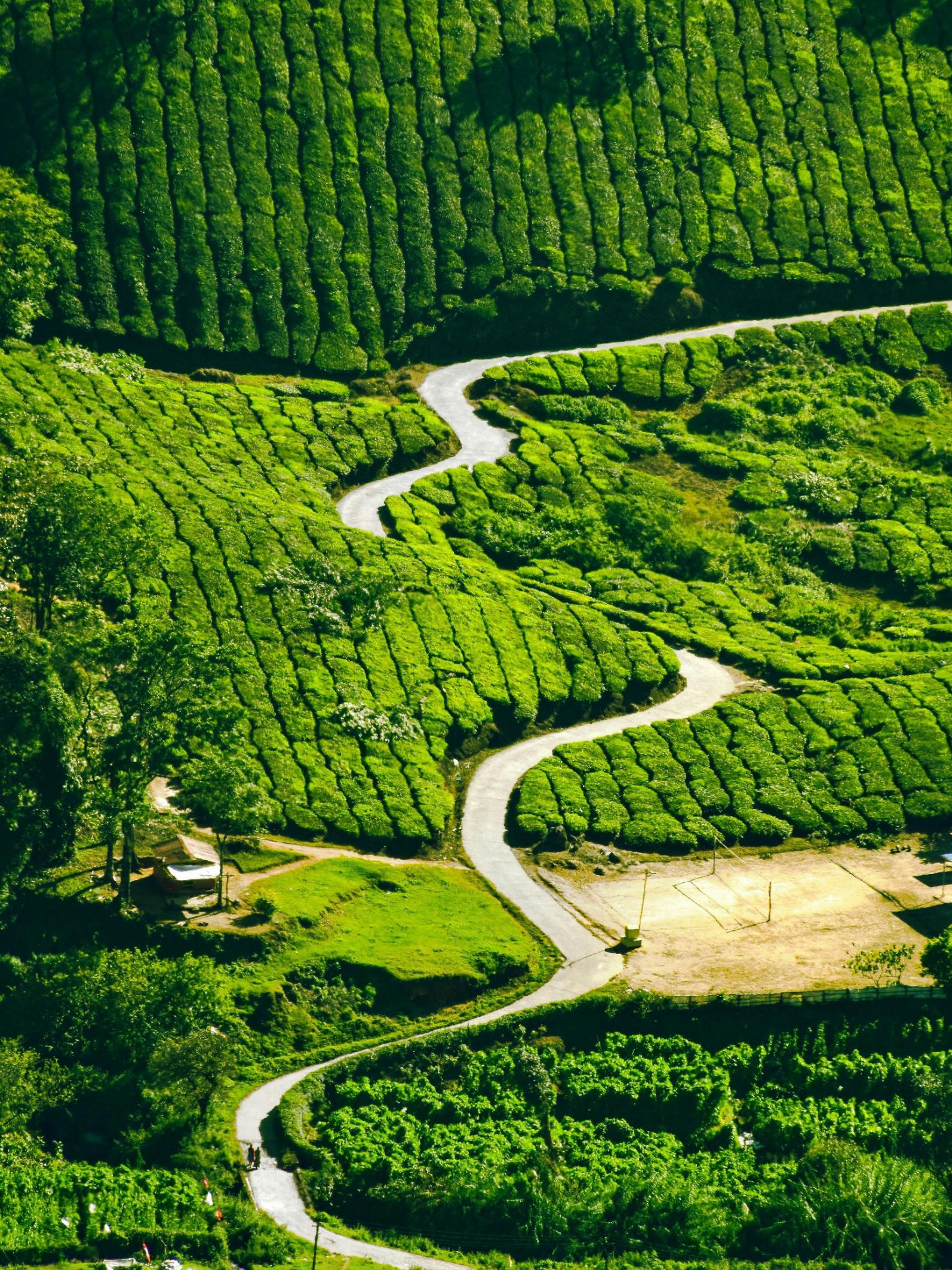 The Romantic Kerala Getaway – slide 1