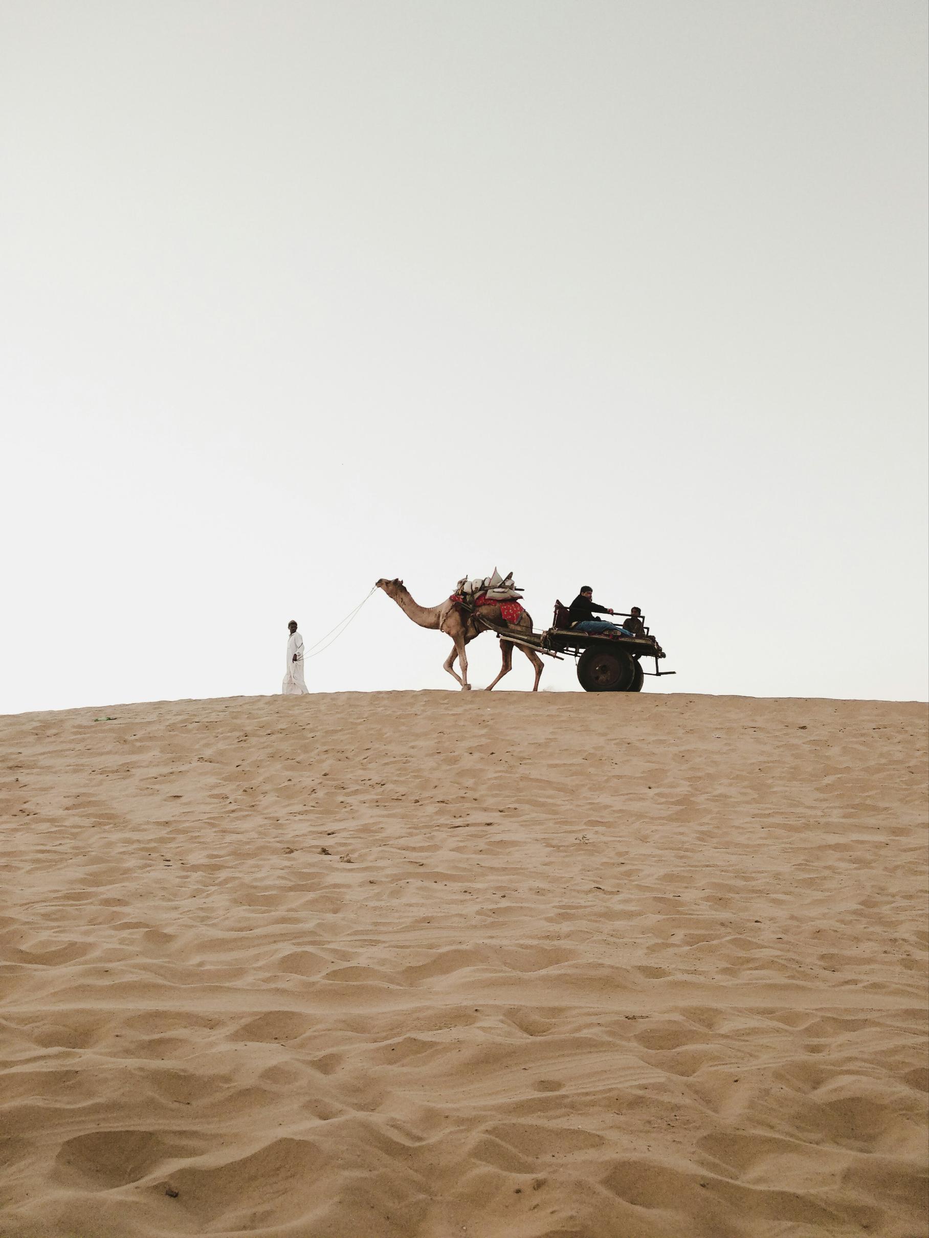 Best of Rajasthan — Part 2 – slide 1